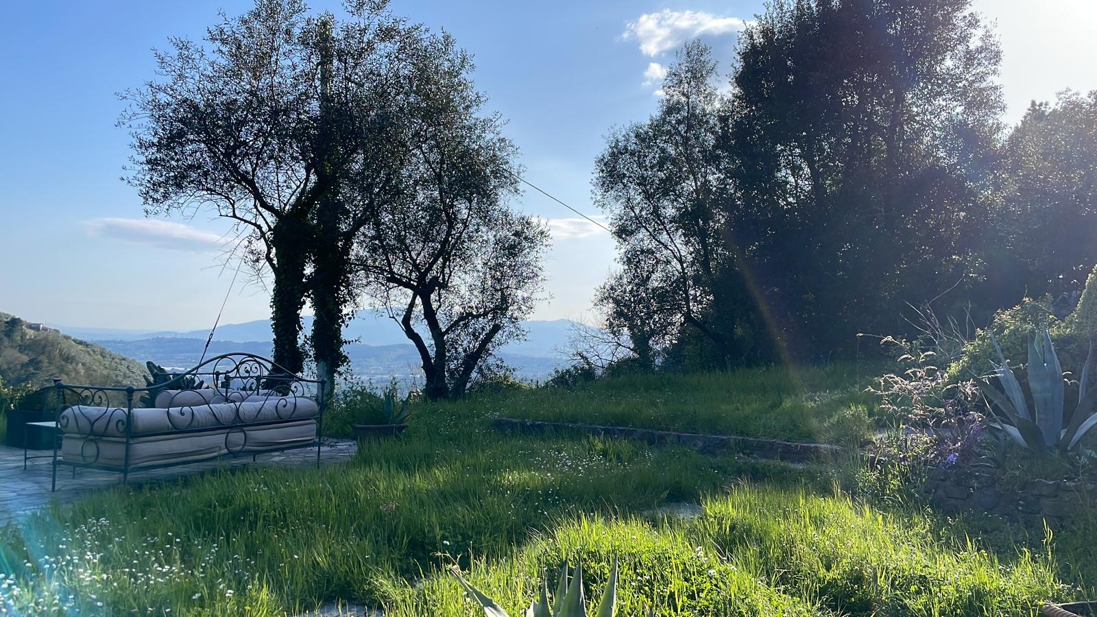 23b5124d-8677-47d5-99f7-51fc06bf0395